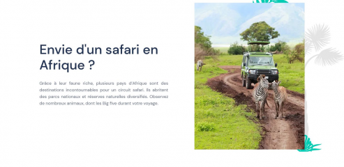 https://www.voyage-safaris-afrique.com